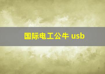 国际电工公牛 usb